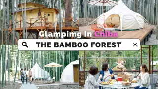 キリンと朝食！動物園に隣接した竹林の中のグランピング｜THE BAMBOO FOREST